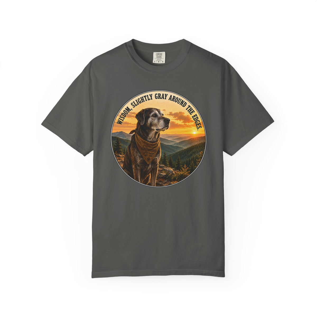 Wisdom T-Shirt