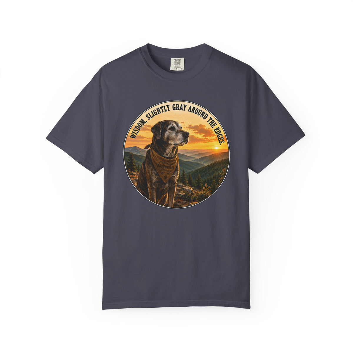 Wisdom T-Shirt